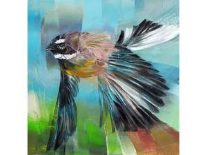 Sheila Brown: Cheeky Fantail