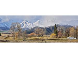 Peter Latham: Winter's Arrival paper print - unframed