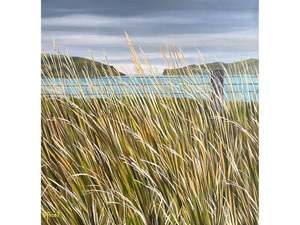 Southerly passing