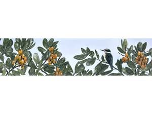 Kirsty Nixon: Voyeur