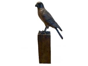 Kārearea (NZ Falcon)