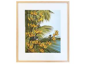 Kirsty Nixon: Framed Print - Gatecrasher