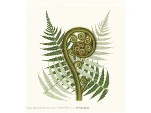 NZ Fern Frond Print