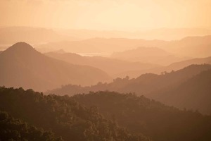 Golden Haze – Coromandel Ranges