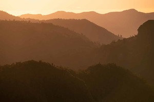 Layers of Light – Coromandel Ranges