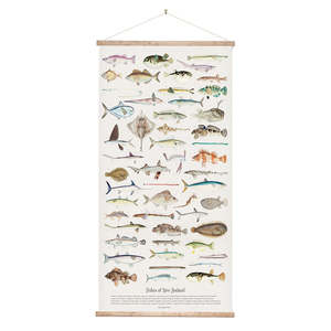 Art: Fishes of NZ Canvas Wall Chart