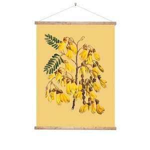 Art: Vintage Botannical Kowhai Wall Chart
