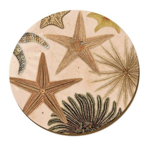 Coasters: Coastal Series Placemats & Coasters Patangaroa