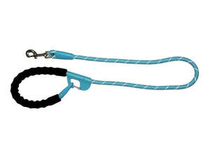 Pet Accessories 1: Hot Dog Snap and Stay Leash Aqua
