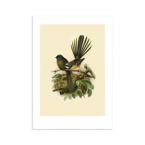 100 New Zealand: Fantail Bullers Bird A4