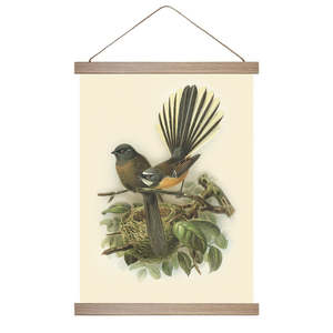 Buller's Fantail Wall Chart