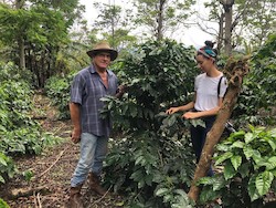 Roasters Selection: Costa Rica La Quijada Del Diablo