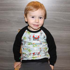 Kids Hoodies Sweatshirts Tees: Dragons and Knights Raglan Top  Sz NB-5