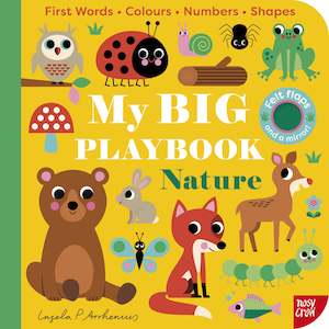 Non Fiction Books: My BIG Playbook NATURE (With Felt Flaps)