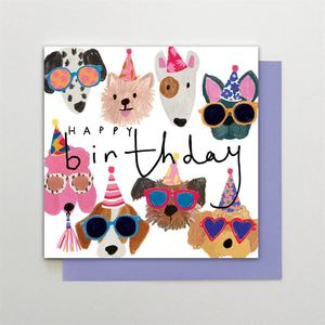 Birthday Dog Faces - Birthday Card