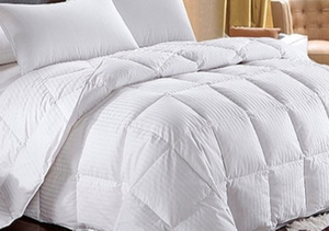 Products: 250 Gsm White Duvet Inner With Damask Stripe