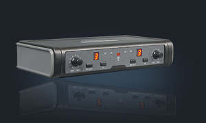 Pasgao: Pasgao - PAW-266/PBT-172/PH90 - Wireless Mic System With 2 x Headset Mics