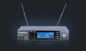 Pasgao: Pasgao - Wireless Mic System With Belt Pack and 1 x Lapel Mic