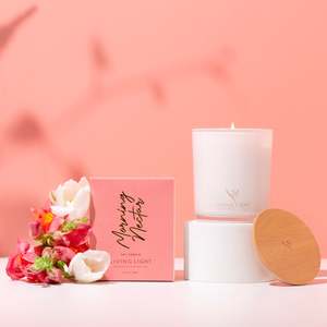 Soy Candles Outlet: Morning Nectar Soy Candles - OUTLET