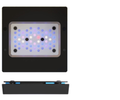 EcoTech Marine Radion LED XR15 GEN 6 BLUE