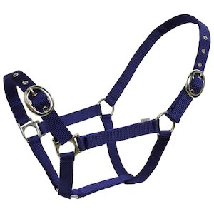 Blue Tag Web Halter - Living Rural