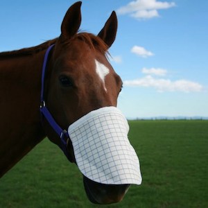 Horse Nose Shade - Living Rural