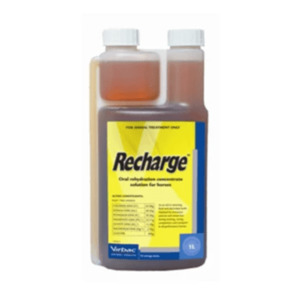 Products: Recharge 1L - Living Rural
