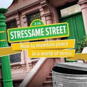 Products: Stressame Street (tract)