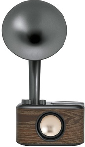 Sangean WR45 Euphonic Bluetooth Speaker