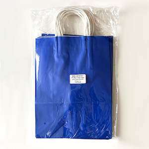Blue Paper Bag with White Twist Handle #7 250x335x120mm 12/Pack