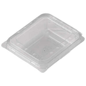 Punnets: Clear Plastic Berry Punnet Clamshell 125g | 352/Ctn