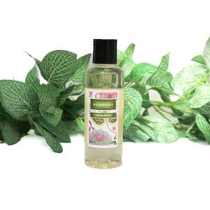 Body: Jeymar Lime & Spice Shampoo 160ml