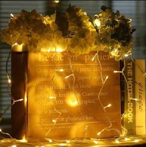 Electrical Fittings: 5M 50LED AC Power Fairy String Light-Clear Wire