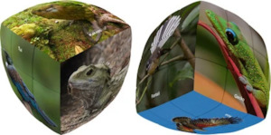 Fidgit Toys: NEW ZEALAND WILDLIFE  3X3  PILLOW  PRINTED