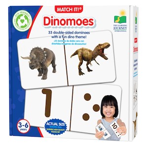 The Learning Journey: MIT DOMINOES-DINOMOES