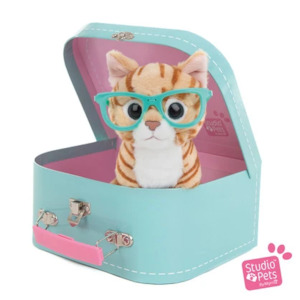 Stuffed Toys: STUDIO PETS PETITE PLUSH-RAYBEN 16CM