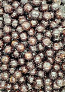 Boiled Lollies: Aniseed Balls