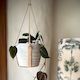 Leather Plant Hanger