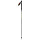 Scott RC 3-Part Running Pole