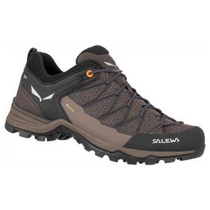 Clearance Footwear: Salewa Clearance Mountain Trainer Lite Gore-Tex Shoe - Mens
