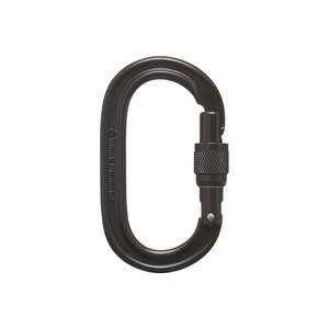 Climbing Carabiner: Black Diamond Oval Keylock Screwgate Carabiner