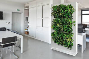 Products: LiveDivider