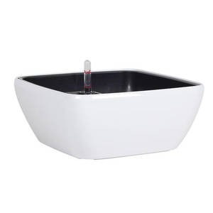 Products: Square Bowl