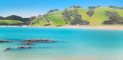 Original For Sale: Mimiwhangata Clear Waters