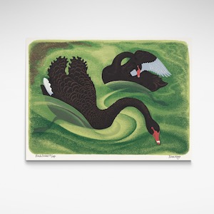 Te Papa Fine Art Prints: Black Swans, Print