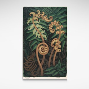 Te Papa Fine Art Prints: Springing Fern, Print