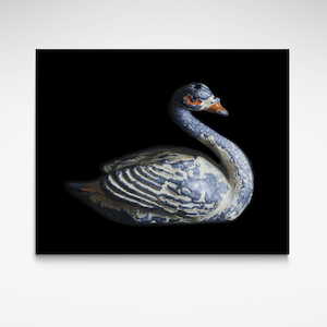 Sybil the Swan, Limited Edition Print