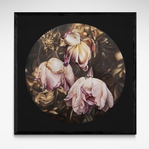 Strung Up To Dry, Framed Limited Edition Print