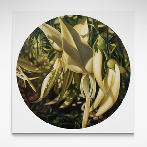 White Kakabeak, Limited Edition Print