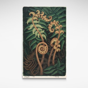 Springing Fern, Print